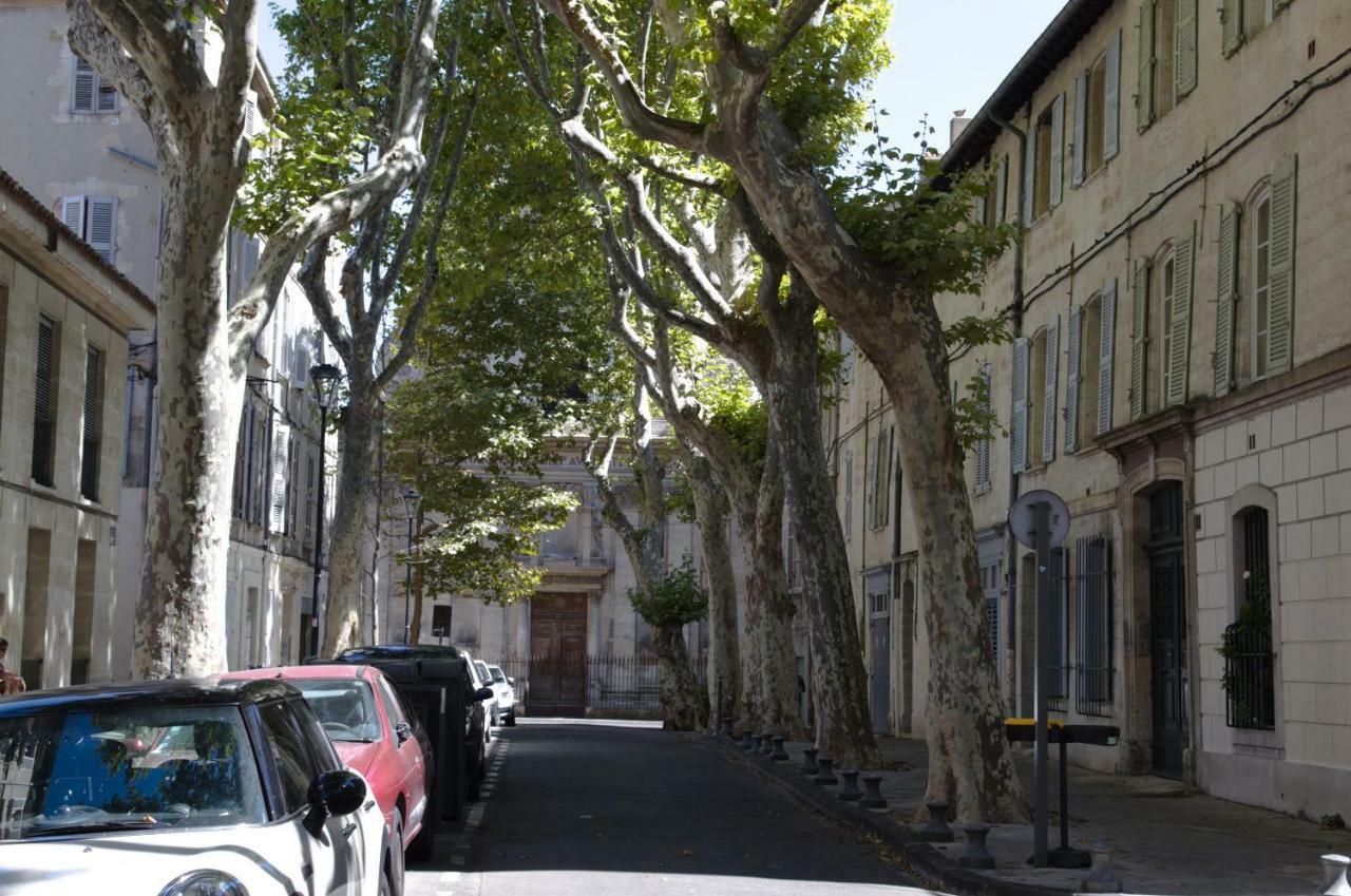 Terrasse - Hypercentre Avignon